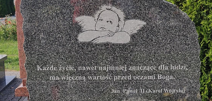 materialy/info/med1/15802.jpg