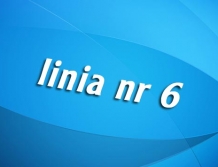 LINIA NR 6 (PKS/PKP - Skuszew - Kamieńczyk - Świniotop - Loretto - PKS/PKP)