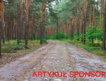 Jura Krakowsko-Częstochowska – weekendowy wypad pełen przygód. Odkryj Góry Towarne!