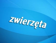 Zwierzęta